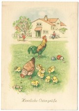 Ostern, Hühner, Hahn