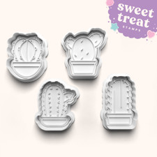 Kakteen Kaktus Zimmerpflanzen