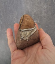 bemalter Stein/ handbemalt/ Schnecke, Skulptur, Dekoration, Geschenk