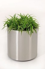 Blumenkübel Pflanzkübel