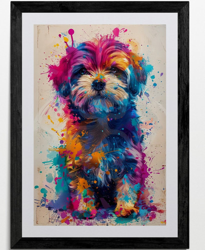Shih tzu hund - shih,