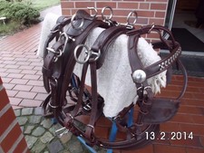 1-spänner Brustblattgeschirr