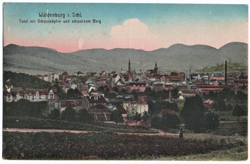 Alte waldenburg in - alte, ak