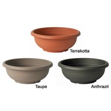 Blumenschale 10 Farben und 15