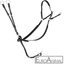 Vorderzeug mit Martingal