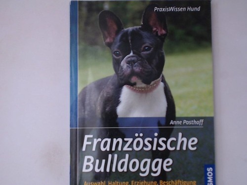 Französische bulldogge - französische,