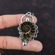 Natural Ammonite Fossil
