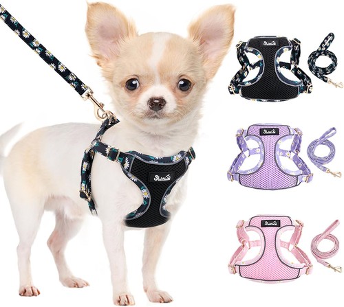 Eyein hundegeschirr kleine - eyein,