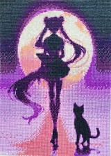Sailor Moon 12x16 (Comes with