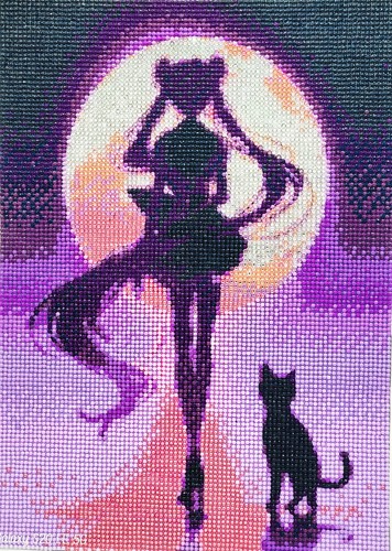 Sailor moon 12x16 comes with - moon,