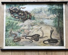 Alte Lehrtafel- Ausländische