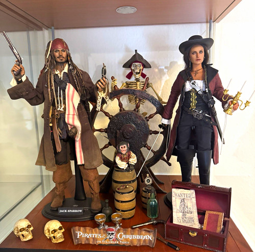 Hot toys pirates of - 1:6, the