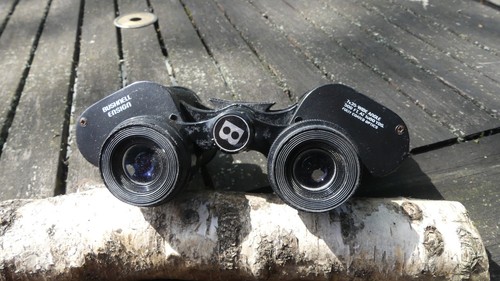 Fernglas bushnell 7x35 wide