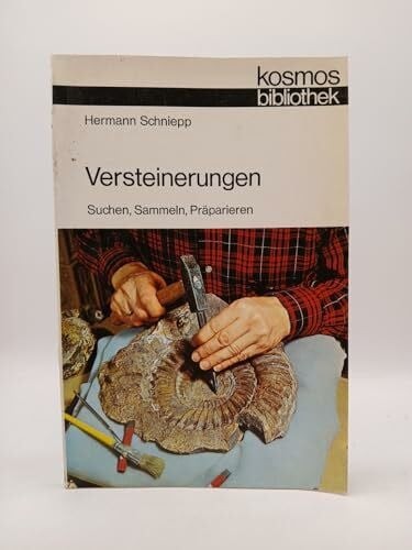 Versteinerungen suchen - versteinerungen.,