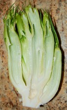 500 Samen Puntarelle Spargel-Chicoree Vulkanspargel Blattzichorie Puntarella