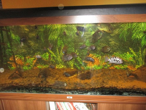 Aquarium 450 liter kompiett - liter,