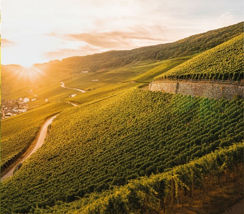 Leinwand deko bilder mosel - leinwand,