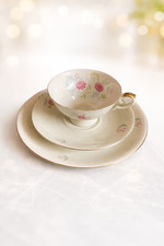 Edles Seltmann Weiden