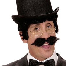 Engländer Schnauzer Moustache