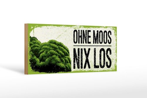 Holzschild spruch 27x10 - holzschild, cm