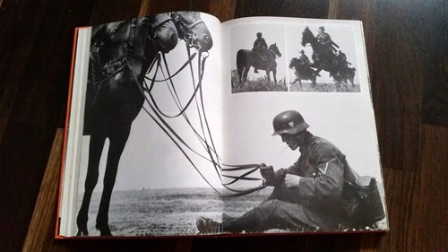 Pferd und reiter 2 - im,