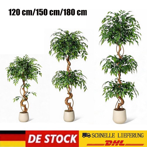 Künstlicher ficusbaum groß - künstlicher,