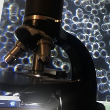 Leitz Mikroskop. Dunkelfeld