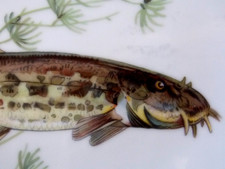 herrlich Fisch Service antik