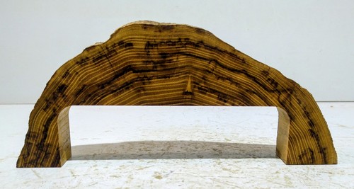 Holzbogen,Baumscheibe