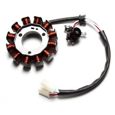 Ersatz Lichtmaschine Zündung