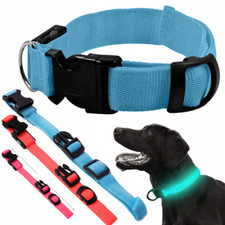 Led hundehalsband - led,