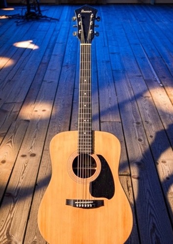 Ibanez v300 western - western, gitarre