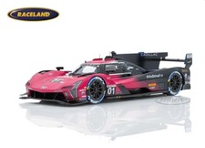 Cadillac V-Series.R Sieger