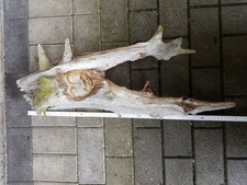 Holzschnitzskulptur *