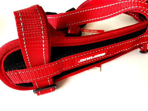 Ezydog standard brustgeschirr - ezydog,
