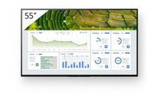 Sony Bravia FW-55BZ30L