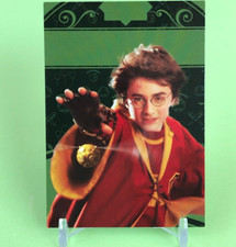 Cuidditch Harry Potter Panini