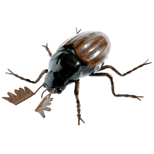 Maikäfer deko käfer - maikäfer, deko-käfer