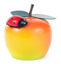 Spardose Apfel mit Käfer