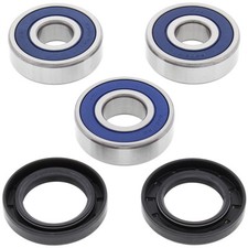 All Balls Set Rear Wheel