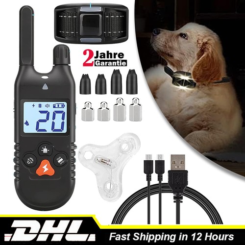 Hund ausbildung training - hund,