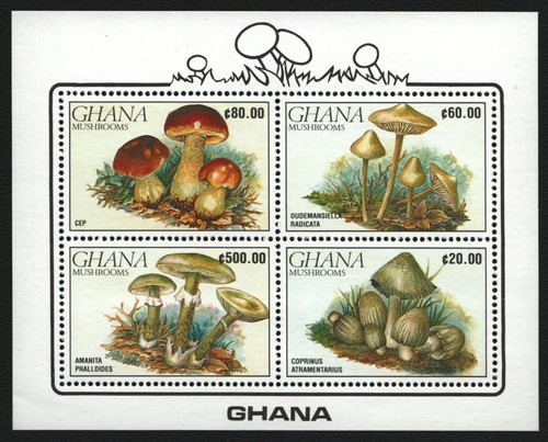 Ghana 1990 block - ghana,