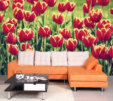 3D Rot Tulpe Garten Q4036