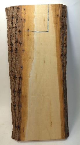 Lindenholz brett mit rinde - rinde, zum