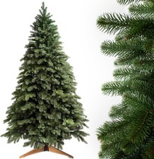 Evergreen Tree®