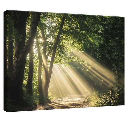 Leinwand bilder wald - leinwand,