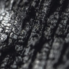 Parallel Worlds Plector (CD)