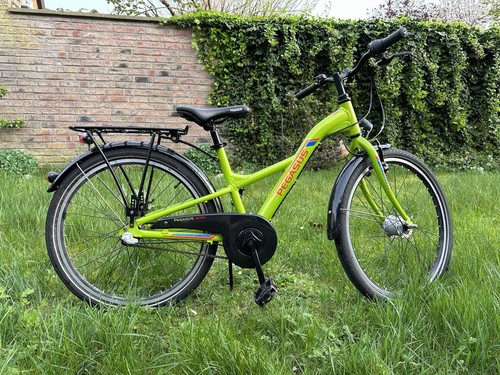 Pegasus kinderfahrrad zoll - pegasus, 24