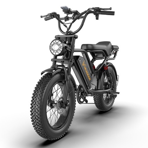 Fat tire bike 48v 20ah - e-bike,