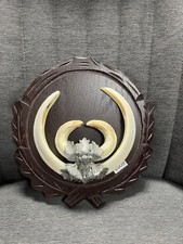 Wildschwein Keiler auf